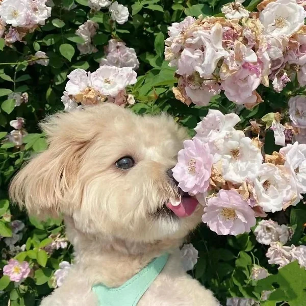 Facai Shoes Store Store