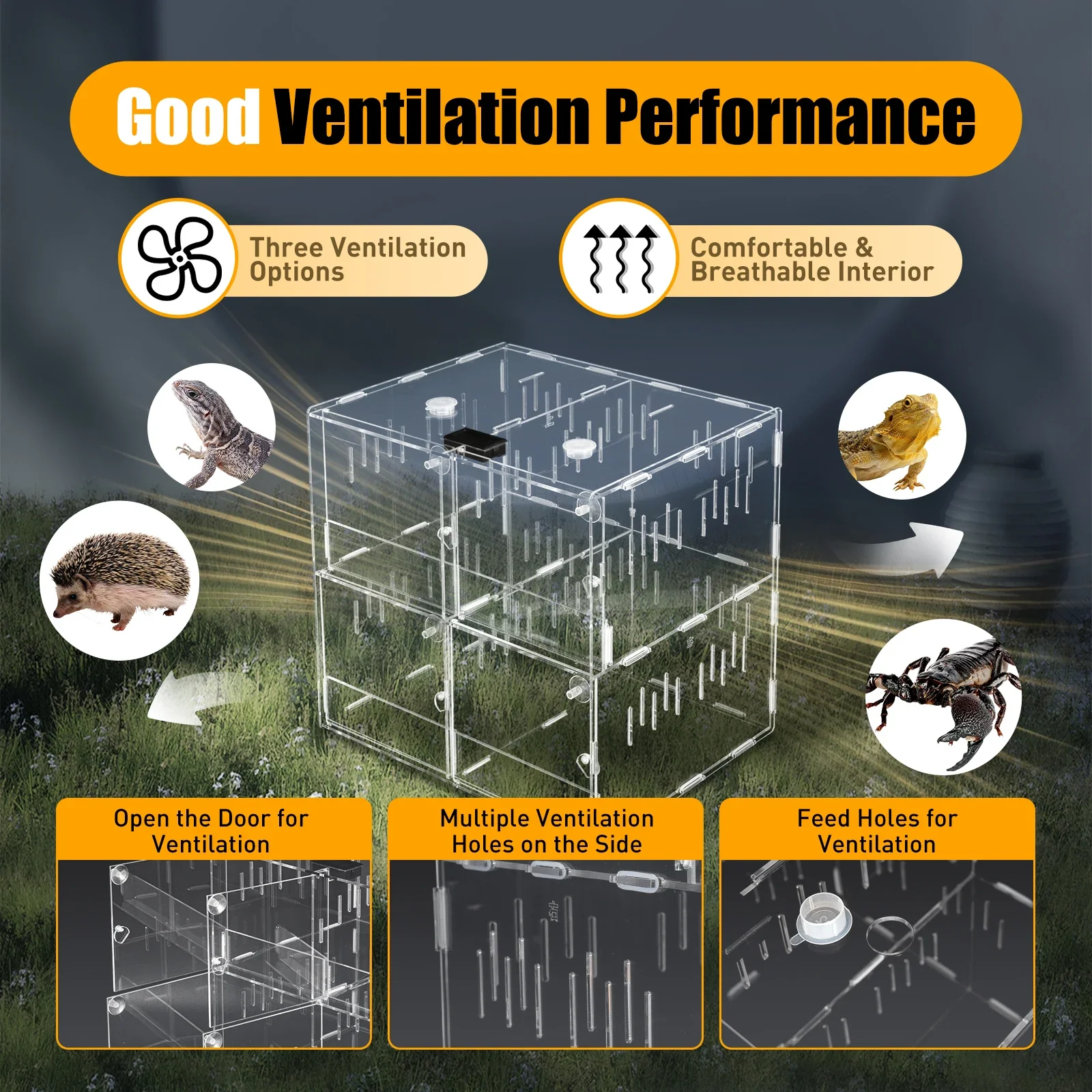 Reptile and Insect Breeding Box/Habitat 2