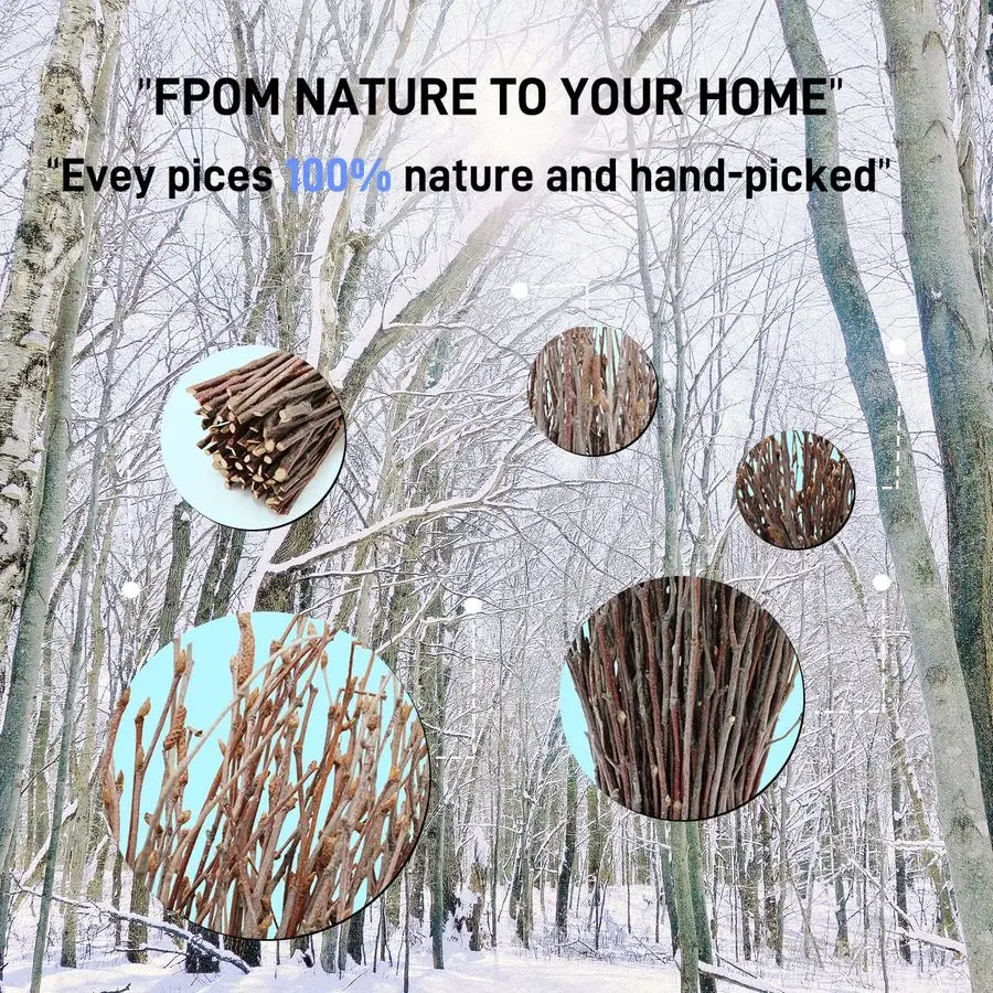 Birch twigs decorative bundle 2