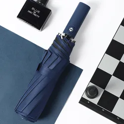 Windproof Double Layer Luxury Automatic Umbrella - Large, Durable, and Stylish (Blue)