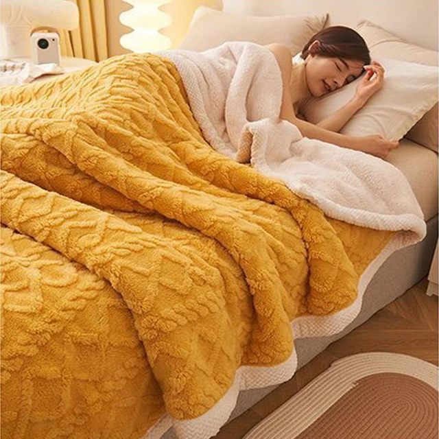 Super Soft Quilt Cover Blanket Dural Purpose Winter Warm Thicken Taffeta  Velvet Duvet Duvet Cover Single