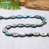 High Quality 5Beads Natural Shell Beads Coin Abalone Shell Loose Beads For Jewelry Making Bracelet Necklace DIY 5