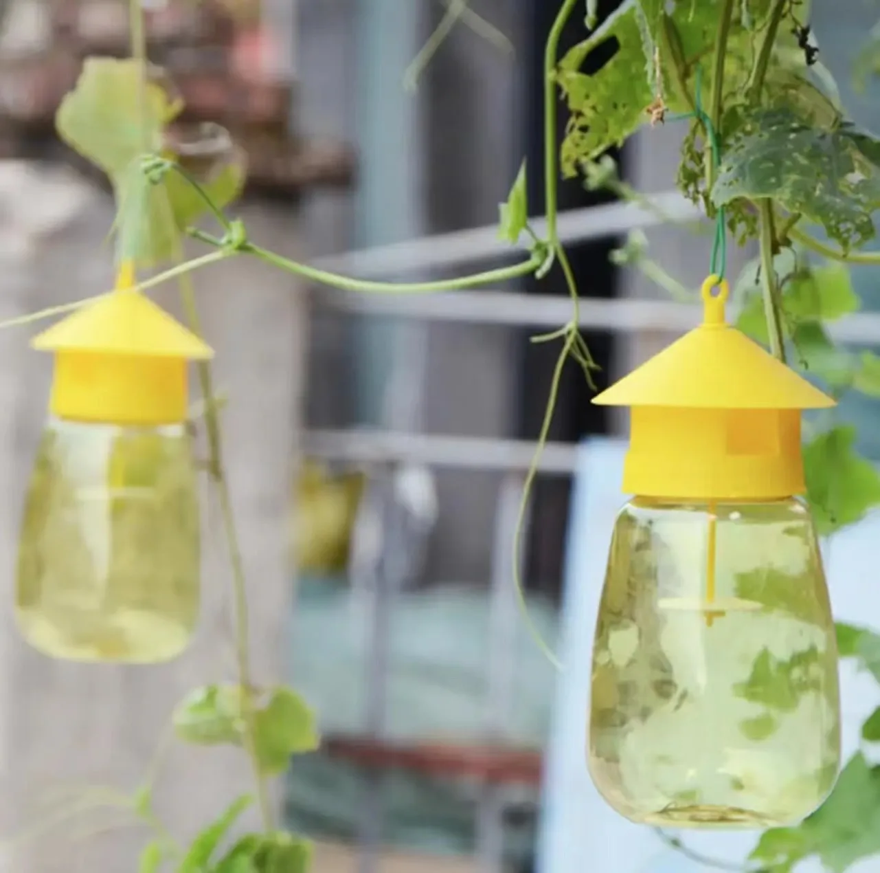 플라스틱 과일 파리 트랩 킬러, 초파리 트랩, 날파리 방지, 과수원 곤충 트랩, 해충 방제, 파리 벌 트랩 