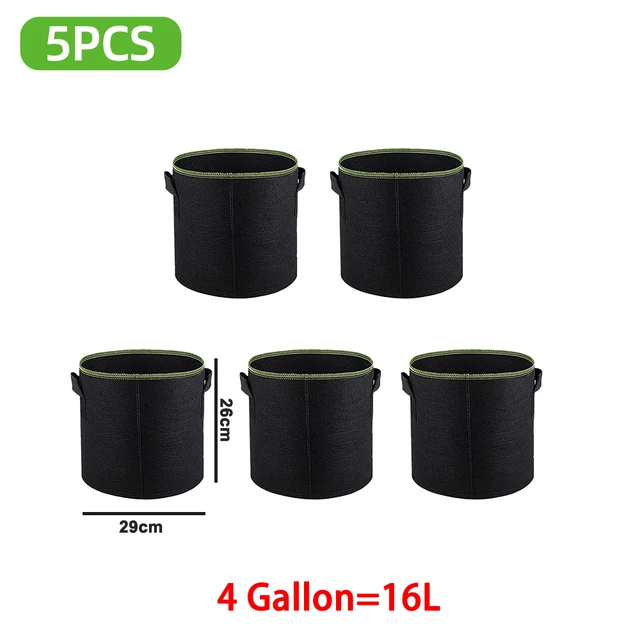 4 Gallon 29 X 26 CM