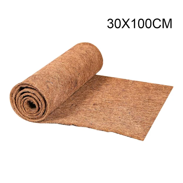 30x100cm