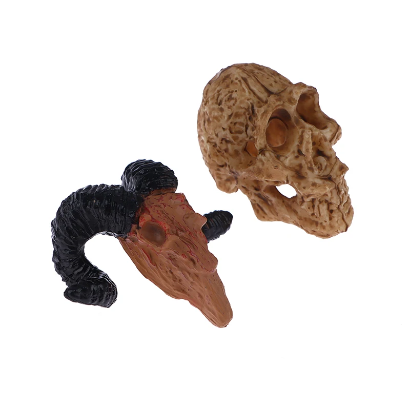 Title 2, 1Pc Creative Skull Skull Aquarium Decoration Fi...
