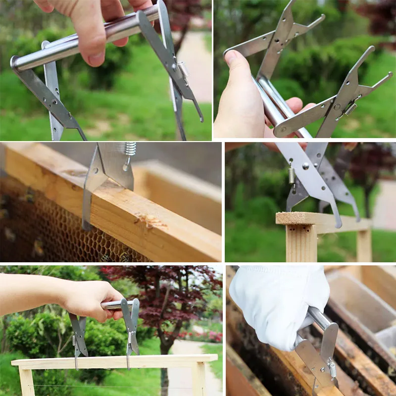 Beekeeping Tools Stainless Steel Bee Hive Frames Holder 6PCS