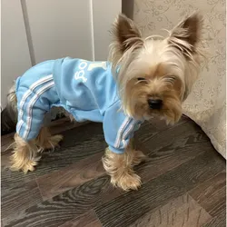 Canine Sportswear: Stylish Tracksuit for Dogs - Perfect for Spring and Autumn (Sky blue)