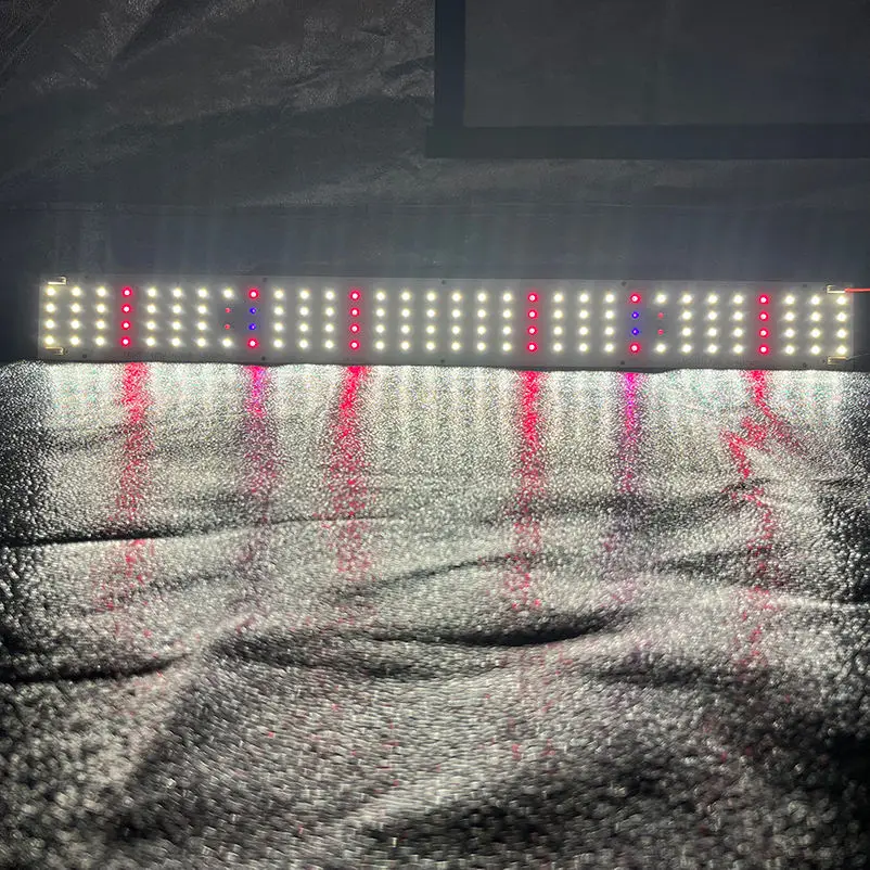 삼성 LM301H 퀀텀 LED 조명, 4 바 보드, 3000K-6500K Meanwell 240w 드라이버 ELG-240-48B/AB DIY LED 식물 성장 조명