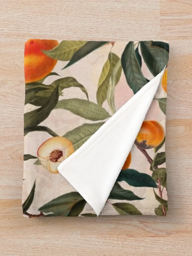 ��Ƽ�� ���� ���� XXIII ������ ���, ħ�� ���� ���� ����ִ� ����, ������ ���