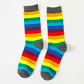 Rainbow Stripe Gray