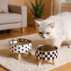 Stainless Steel Raised Pet Bowl,Cat Water and Food Dish, Spill-Proof Detachable Feeding Bowl for Small Pets Suitable for Puppies