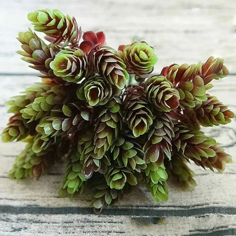 Slide image dae1b36c5c77443f8f81fd685e764666