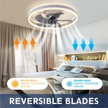 Modern LED Ceiling Fan With Light DC Motor 6-speed Timing Fan 50CM Low Floor Loft Remote Control Decorative Fan With Light 3
