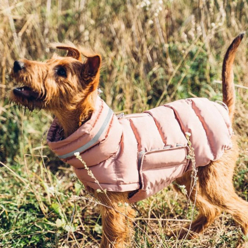 Warm Windproof/ Waterproof Dog Parkas 6