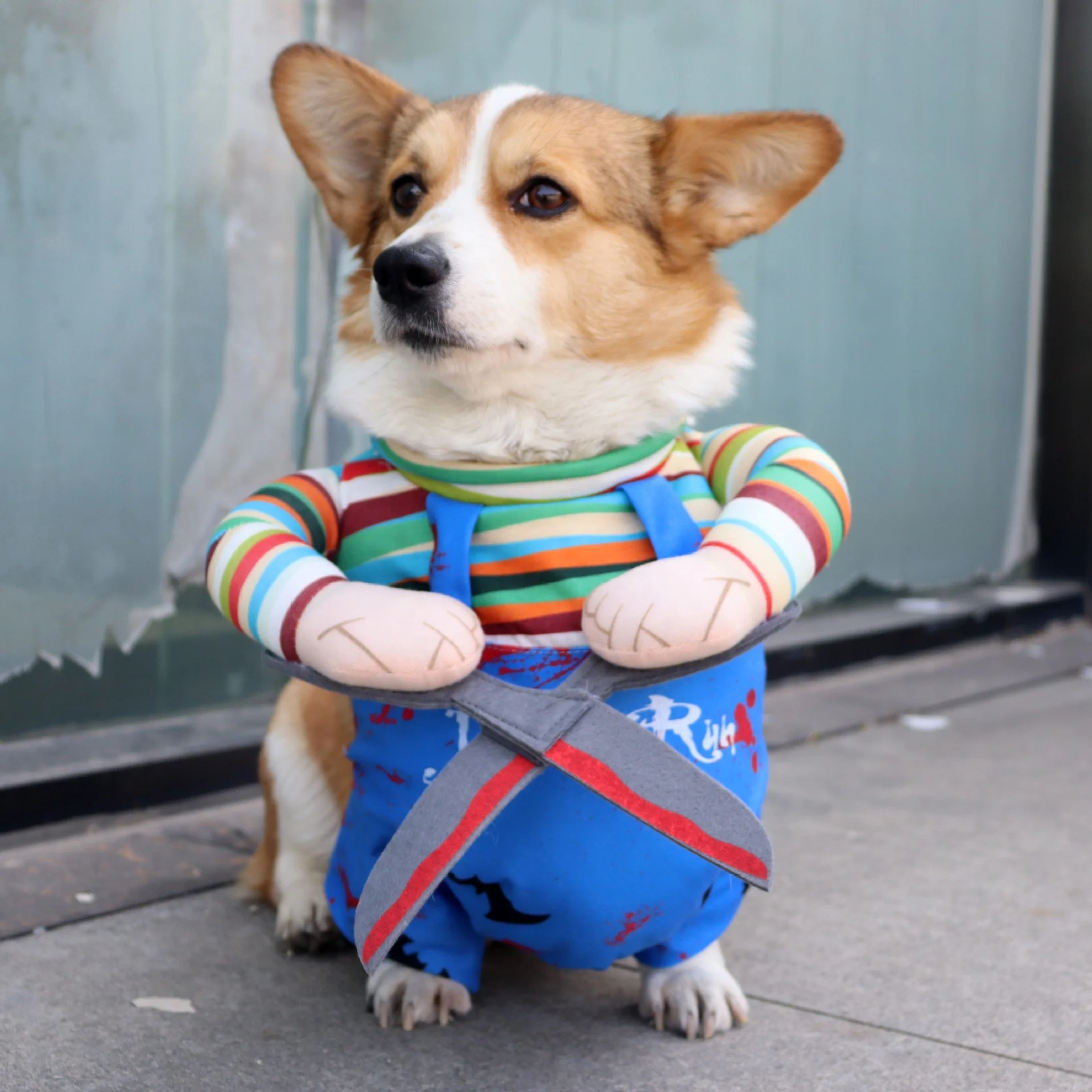 Scissors Transformation Pet Costume 2