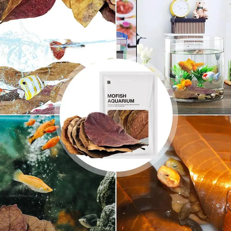 Aquarium Leaves 20Pcs Aquarium Catappa Leaves Indians Almond Leaves For Reduce PHs Softened Purified Water Quality For Fish Tank Pond & Aquarium