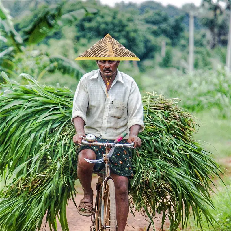 Cappello Di Paglia Cinese Decorativo - Cappello Da Pioggia Intrecciato Per Feste E Costumi - Foto 3