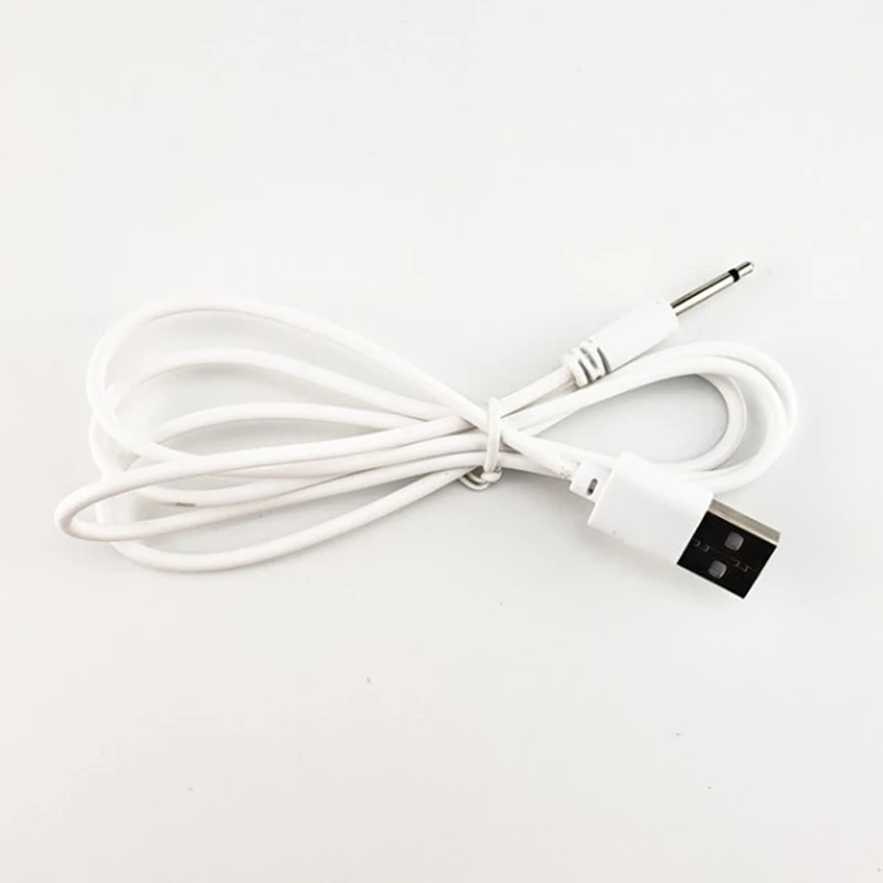 Rechargeable USB DC 2.5 Vibrator Charger Cable Cord for Adult Toys Vibrators Massagers Accessories Universal USB Power Supply