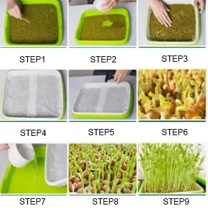 Microgreens Hydroponic Germination Tray Sprouting Tray For Sprout Horticultural Hydroponic Systems Garden Nursery Potted