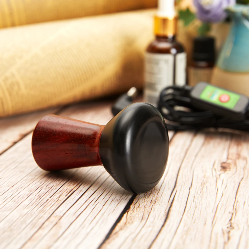 Electric Heating Bian Stone Gua Sha Massager Hot Compress Body Physiotherapy Tool for Face Eyes Improve Guasha Cupping Therapy