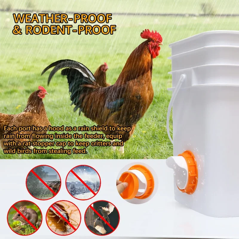 Poultry Pro Rainproof Feeder – DIY Automatic Gravity Chicken & Duck Feeder 4