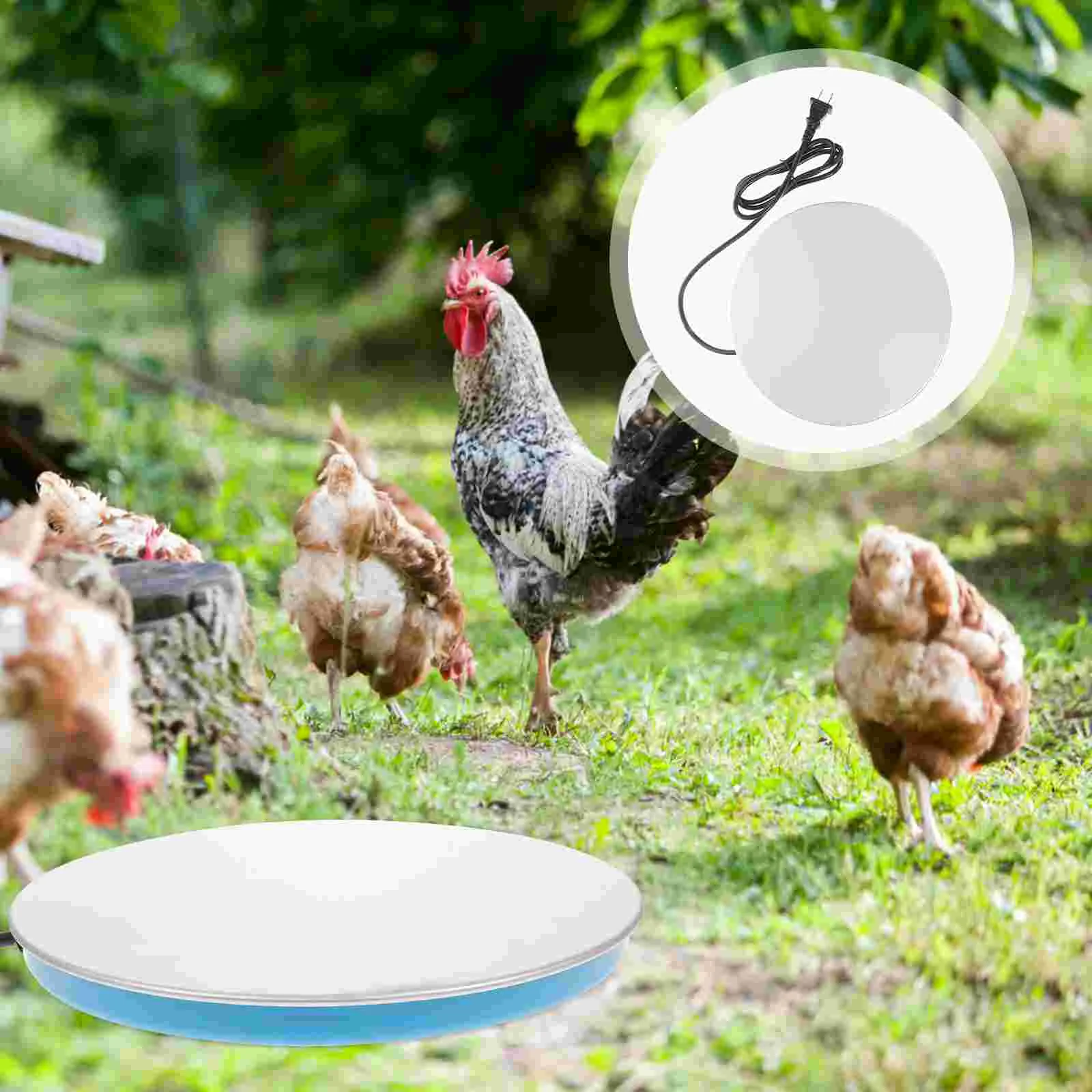 

Chicken Water Heating Plate Electronic Flat Fountain Heat Heater Pigeon Hot Drinking Tool (US Plug)