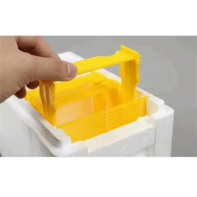 1PCS Beehive Beekeeping Queen Bee Rearing Mating Foam Pollination Box Garden Bee Hives Breeding Pollination Beekeeping Supplies