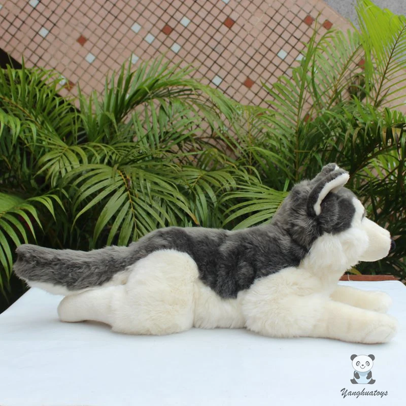Soft And Cute Rare Big Toys Real Life Plush Husky Doll Stuffed Dogs Present  Large Animals Model Pillow - AliExpress