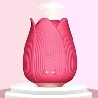 10-Vibrations-Saugvibrator, Punktstimulator, stimulierendes Saugen, Klitoris-Massagegerät, wiederaufladbares Sexspielzeug für Erwachsene für Frauen, Paare 1