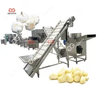 High Efficiency Automatic Garlic Breaking Peeling Sorting Machine Garlic Cleaner Machine Garlic Washing Machine For Sale 1