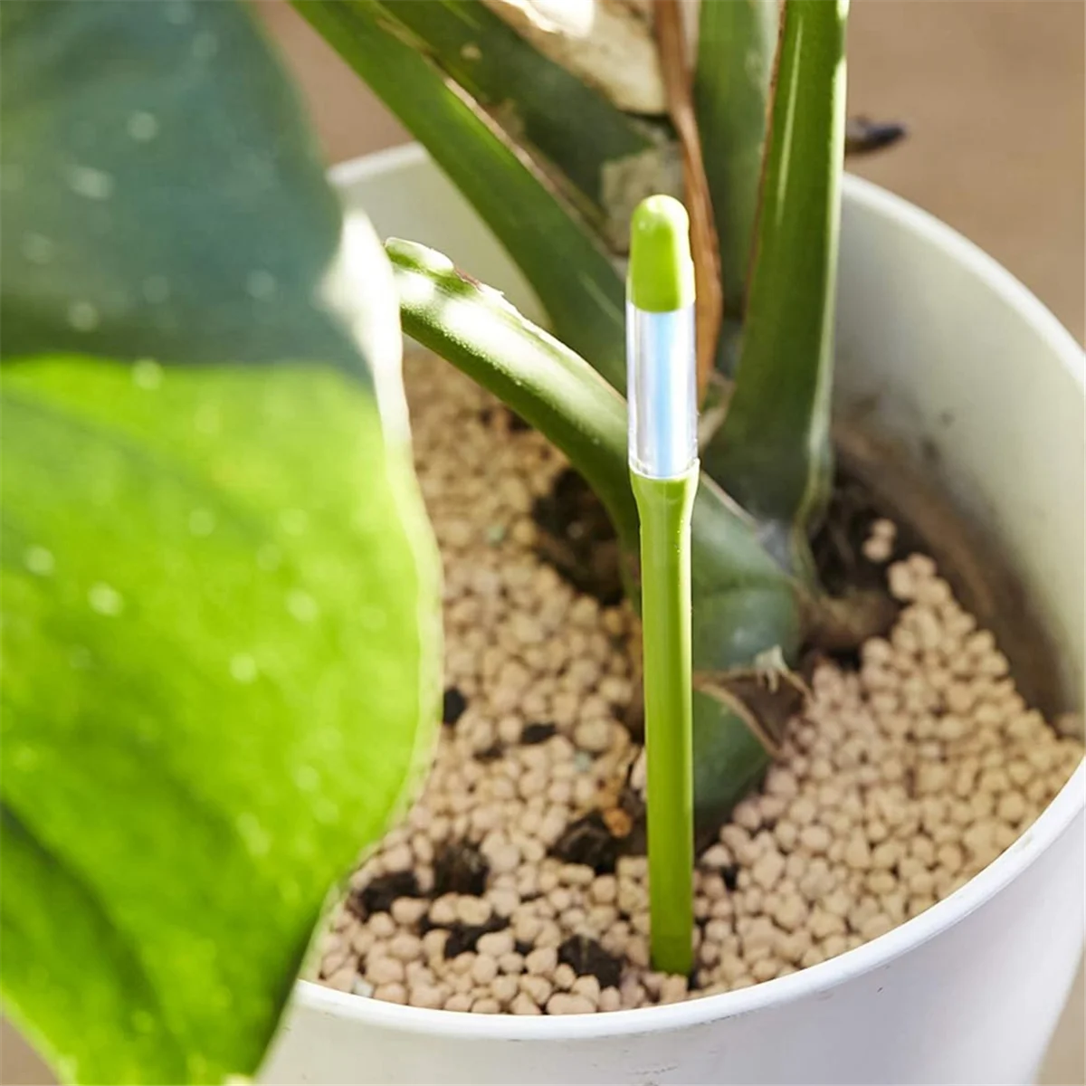 A04R-Aquameter, Set of 5, Plant Soil Moisture Sensor,House Plant Soil Moisture Meter, Best for Indoor Potted Plants (Small)