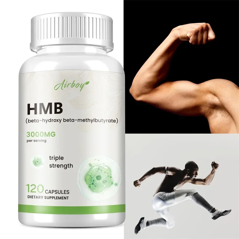 HMB Supplementation-Improves Exercise Intensity and Endurance, Promotes Blood Circulation, Muscle Growth and Reduces Injuries