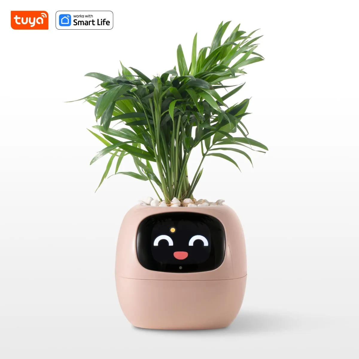 Tuya ivyスマートプランター、永遠の楽しみ、49の豊富な表現、7