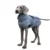 Winter Warm Dog Clothes 1
