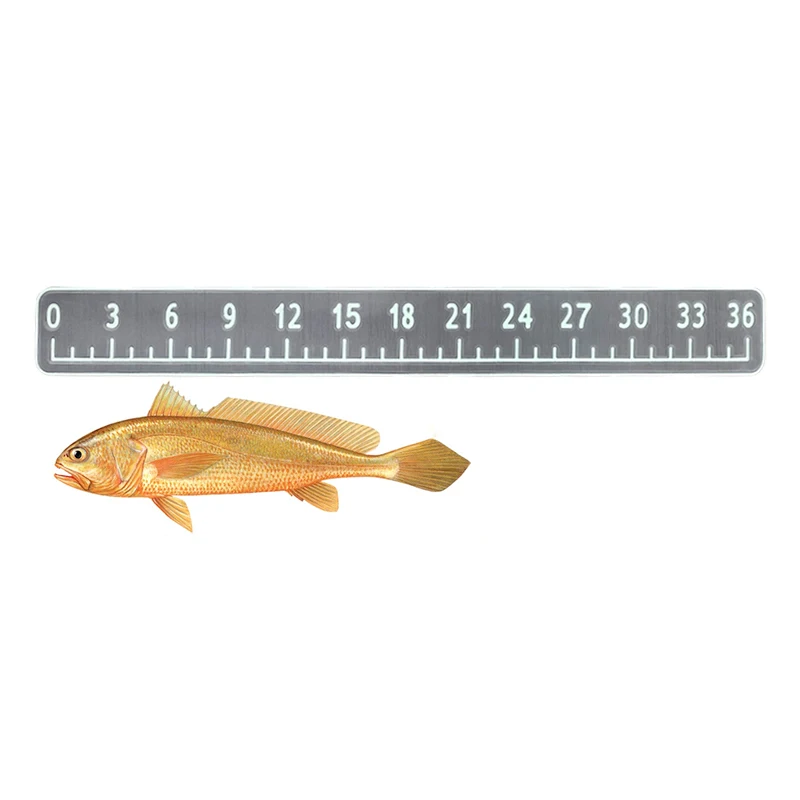 36'' EVA Foam Fish Ruler Self Adhesive Backing Non-skid Fishing