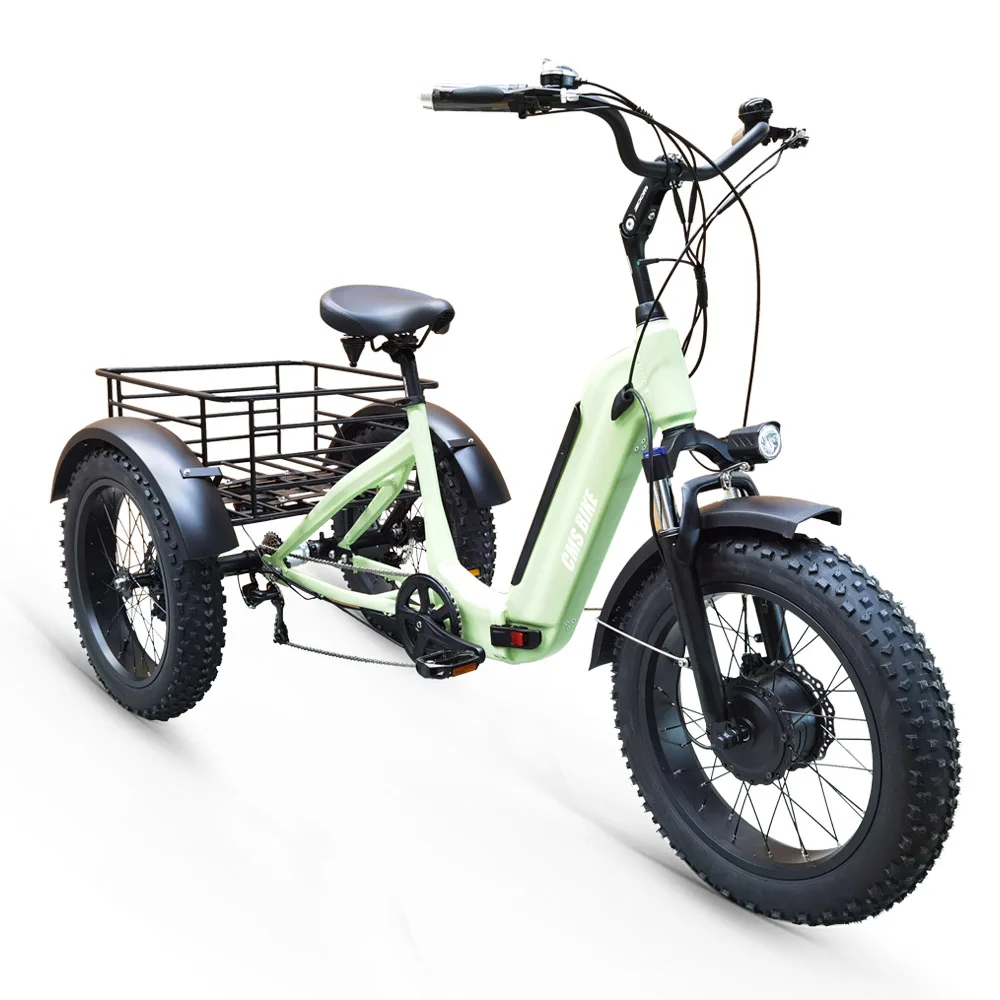 

Folding Electric Bike for Adults, 3 Wheel, Tricycle, Fat Tire, Cargo Bike, Bicycle, Aluminum Alloy, 48V, 500W, 20 Inch