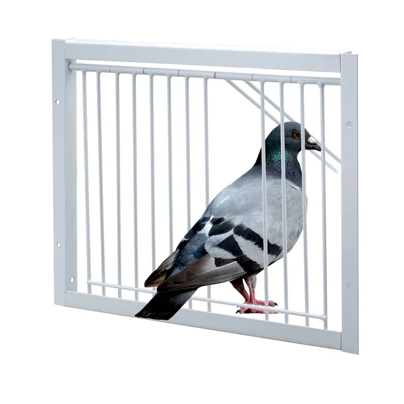 Barre A Gabbia Cattura Uccelli 30*26Cm Ingresso Pigeon Bar Cattura Filo E Gabbie Porte Porte Nidi Telaio Rimovibile Singolo Metallo Uccelli