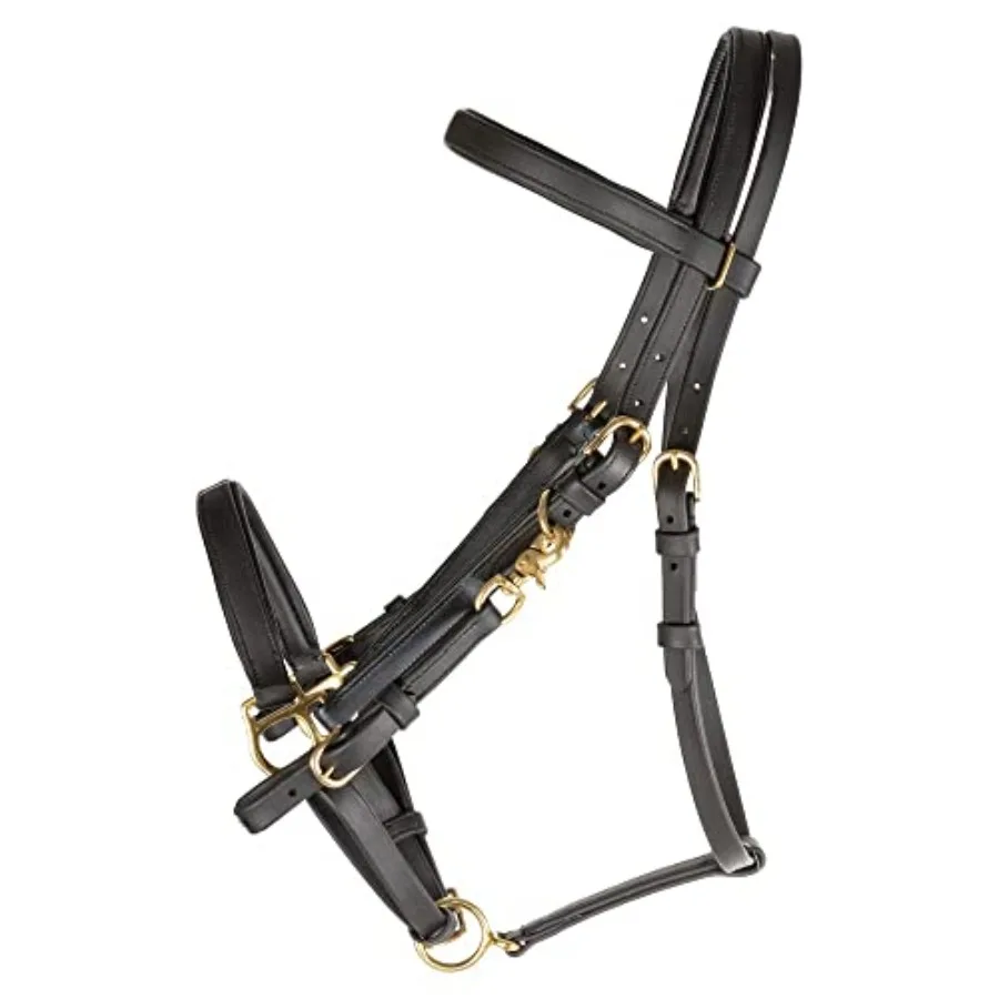 All Weather Trail Halter for Horses/Bridle Combo: Nylon Black Quick-Release Buckles UV-Resistant Material for Versatile Riding