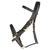 All Weather Trail Halter for Horses/Bridle Combo: Nylon Black Quick-Release Buckles UV-Resistant Material for Versatile Riding
