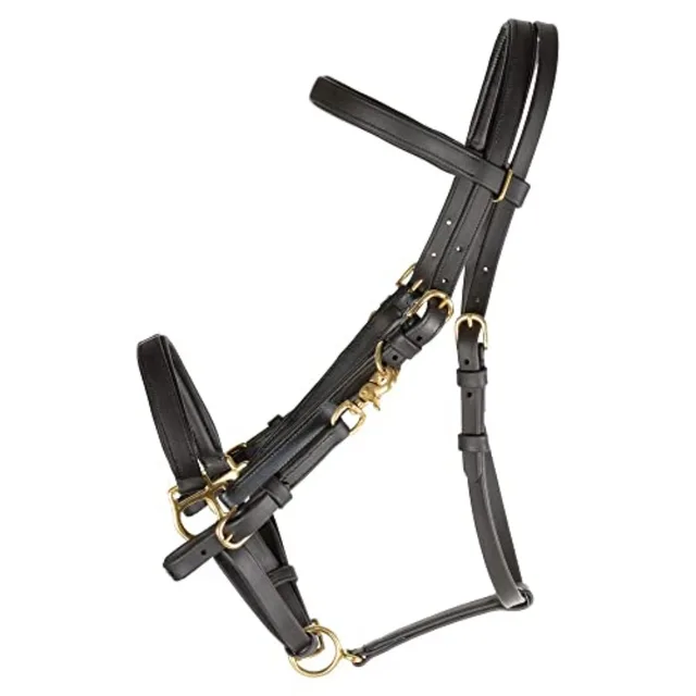 All Weather Trail Halter for Horses/Bridle Combo: Nylon Black Quick-Release Buckles UV-Resistant Material for Versatile Riding