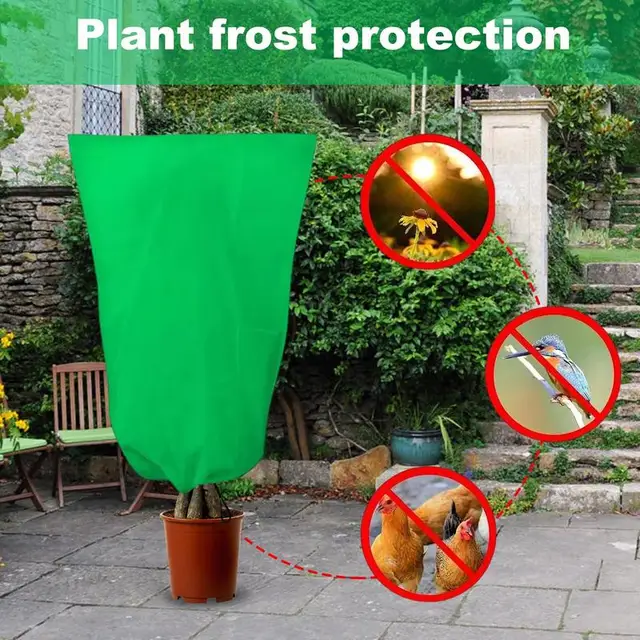 A Növényi Fagyvédelem Lefedi Növények Fagyvédését Téli Fagyban. - Image 2