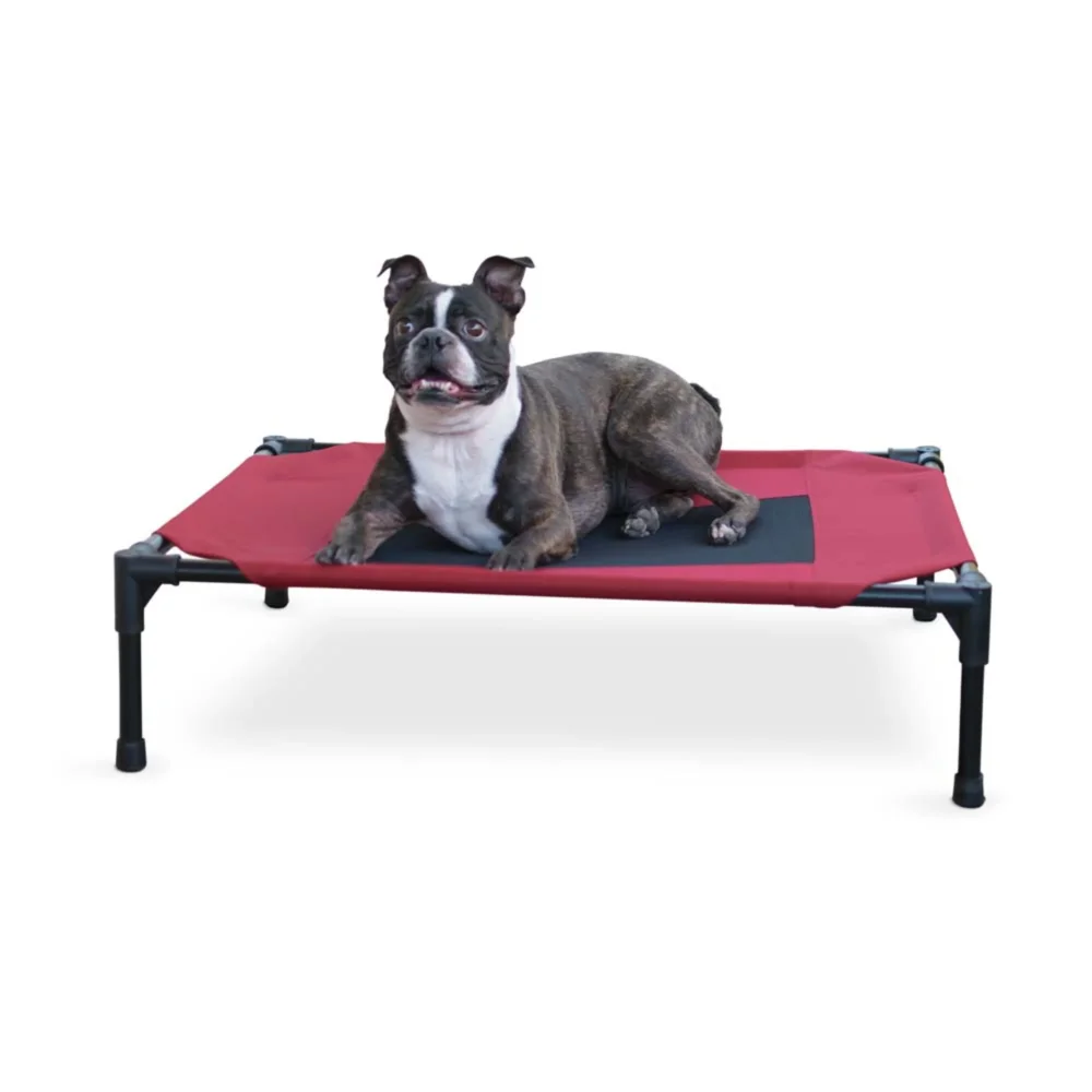 Elevated Pet Bed 1