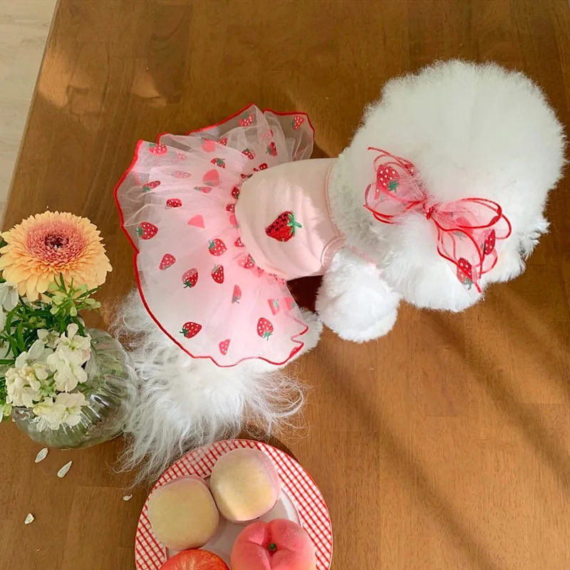 Summer Strawberry Dog Dress - Cute Mesh Suspender Skirt for Pets