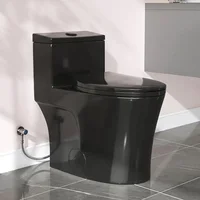 Compact Elongated Black Toilet 17.3" ADA Chair Height Dual Flush 1000g Soft Close Seat 1