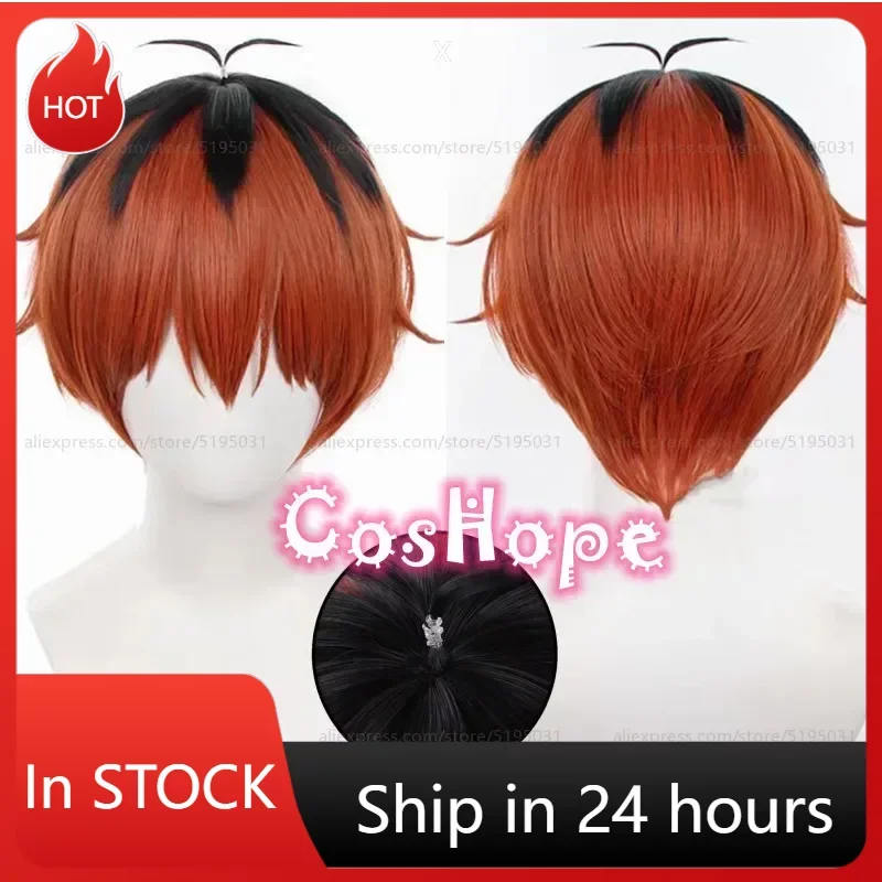 

Stark Cosplay Wig 30cm Black Orange Brown Wig Cosplay Anime Cosplay Wigs Heat Resistant Synthetic Wigs