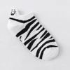 Zebra 01