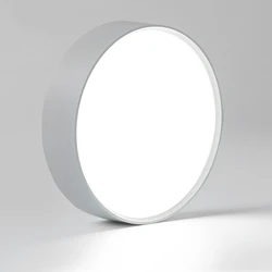 Sleek LED Ceiling Light Fixture (Cold White)