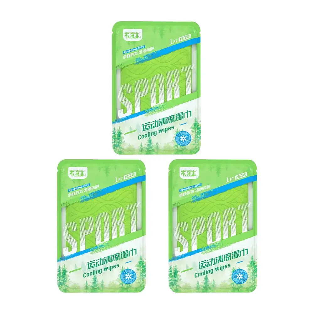 3/4PCS 여름용 냉각 스포츠 물티슈 재사용 가능한 스포츠 냉각 물티슈 목걸이형 땀 닦는 냉각 아이스 타월 (야외용)
