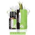 Lily